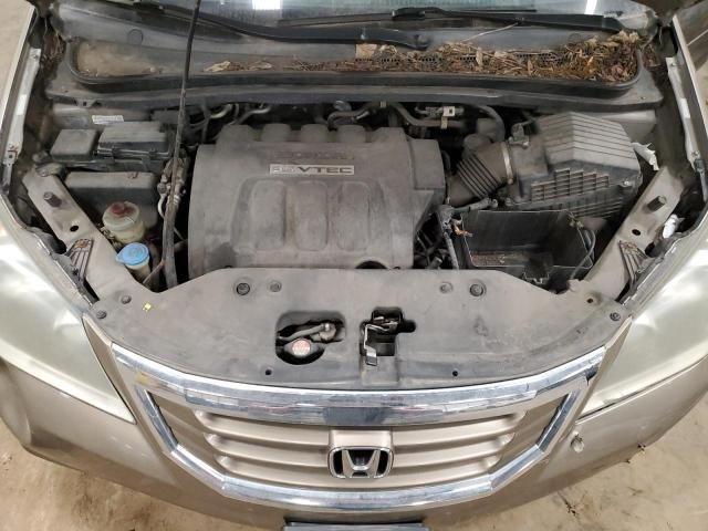 2008 Honda Odyssey EX