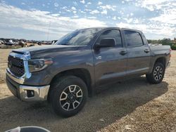 Salvage cars for sale from Copart Theodore, AL: 2019 Toyota Tundra Crewmax SR5
