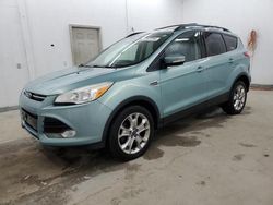 Ford Escape SEL salvage cars for sale: 2013 Ford Escape SEL