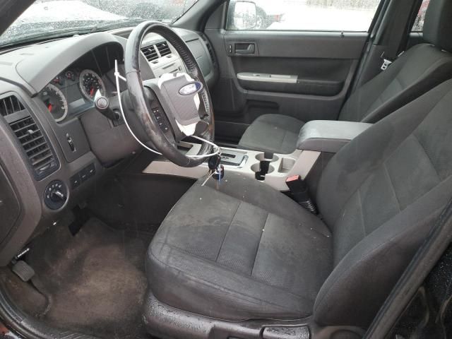 2009 Ford Escape XLT