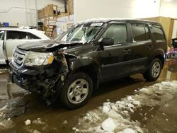 Salvage cars for sale at Ham Lake, MN auction: 2011 Honda Pilot LX