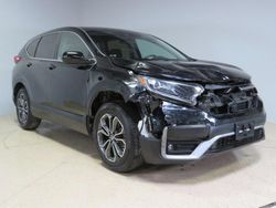 2020 Honda CR-V EX for sale in Wilmington, CA