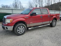 Ford salvage cars for sale: 2011 Ford F150 Supercrew