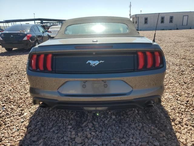 2019 Ford Mustang