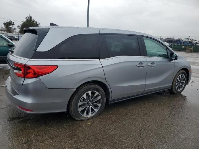 2024 Honda Odyssey EXL