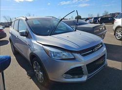 Ford Escape Titanium salvage cars for sale: 2016 Ford Escape Titanium