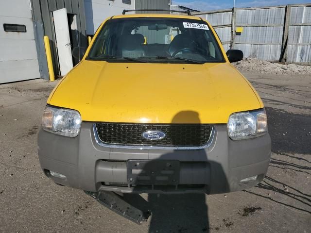 2001 Ford Escape XLT