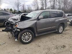 Salvage cars for sale from Copart Waldorf, MD: 2014 Lexus GX 460