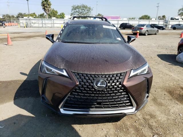 2019 Lexus UX 200