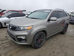 KIA Sorento SX Vehiculos salvage en venta: 2013 KIA Sorento SX