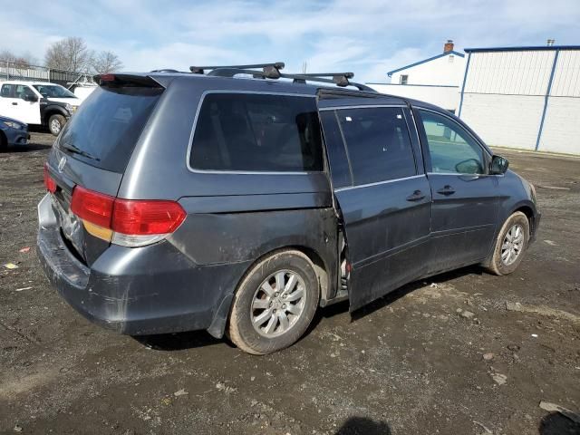 2010 Honda Odyssey EXL