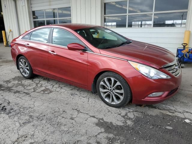 2013 Hyundai Sonata SE