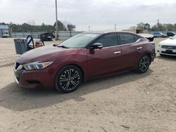 Salvage cars for sale at Newton, AL auction: 2016 Nissan Maxima 3.5S