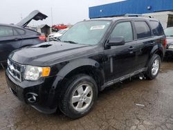 Ford Escape xlt salvage cars for sale: 2012 Ford Escape XLT