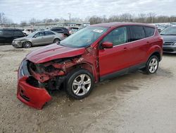 Salvage cars for sale at Louisville, KY auction: 2015 Ford Escape SE