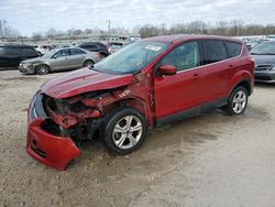 Ford Escape SE salvage cars for sale: 2015 Ford Escape SE