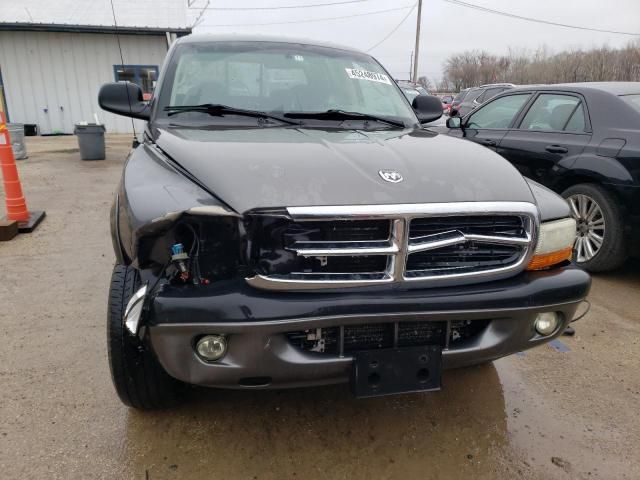 2004 Dodge Dakota Quad Sport