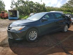 Salvage cars for sale at Kapolei, HI auction: 2015 Toyota Camry LE