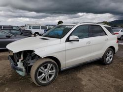 Salvage cars for sale at San Martin, CA auction: 2013 Mercedes-Benz ML 350