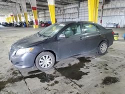 Salvage cars for sale from Copart Woodburn, OR: 2010 Toyota Corolla Base