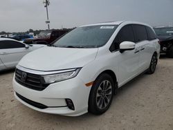 Salvage cars for sale at Houston, TX auction: 2022 Honda Odyssey EXL