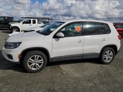 Flood-damaged cars for sale at auction: 2013 Volkswagen Tiguan S