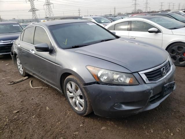 2009 Honda Accord EXL