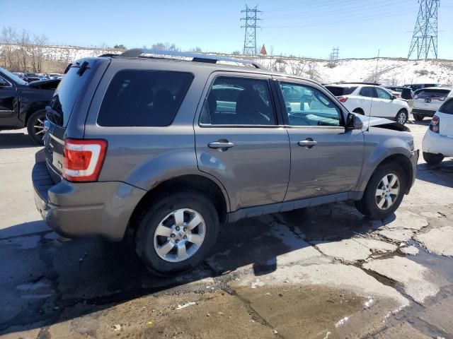 2011 Ford Escape Limited