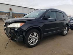 Salvage cars for sale at New Britain, CT auction: 2010 Honda CR-V EXL