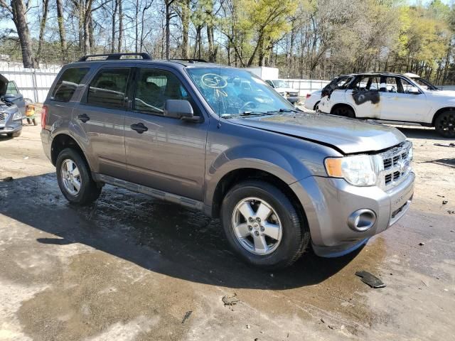 2010 Ford Escape XLT