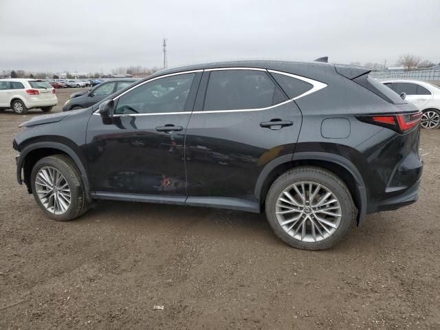 2024 Lexus NX 350H Base