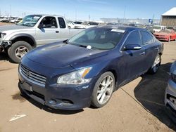 Salvage cars for sale from Copart Brighton, CO: 2009 Nissan Maxima S