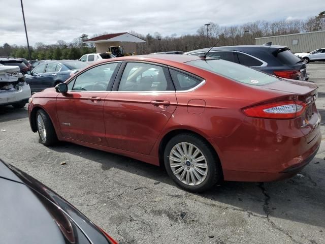 2014 Ford Fusion SE Hybrid