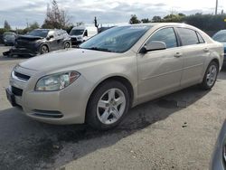 Chevrolet Malibu 1LT salvage cars for sale: 2010 Chevrolet Malibu 1LT