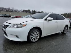 Lexus salvage cars for sale: 2014 Lexus ES 300H