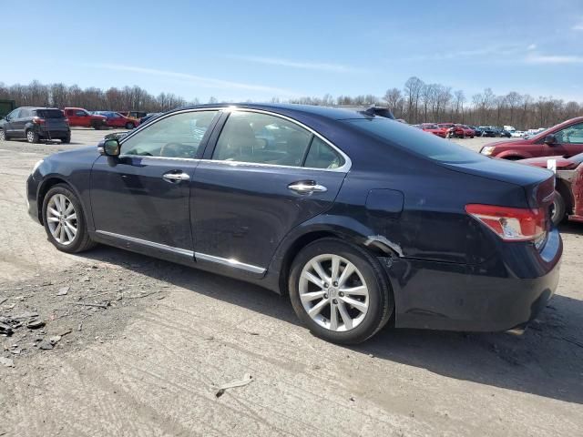 2010 Lexus ES 350