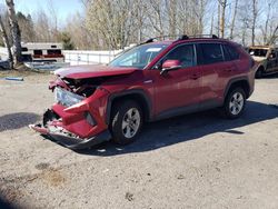 Salvage cars for sale from Copart Portland, OR: 2019 Toyota Rav4 LE