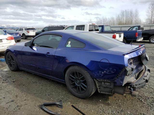 2013 Ford Mustang