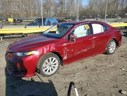 Salvage cars for sale from Copart Waldorf, MD: 2020 Toyota Camry LE