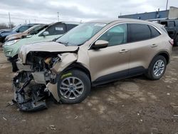 Salvage cars for sale from Copart Woodhaven, MI: 2020 Ford Escape SE