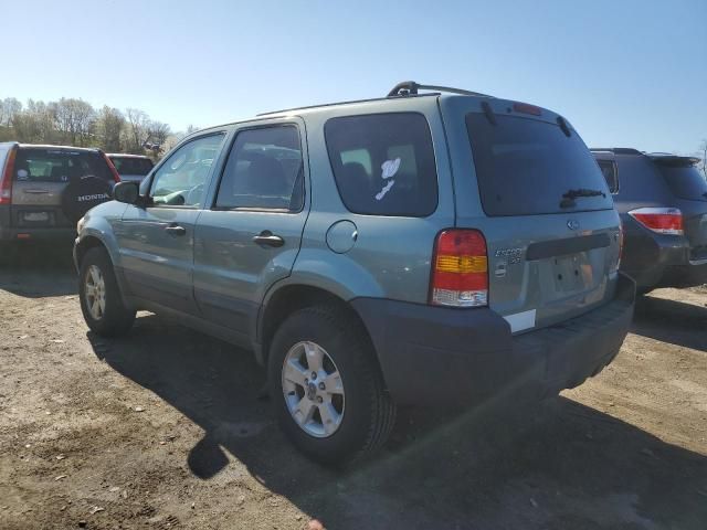 2006 Ford Escape XLT