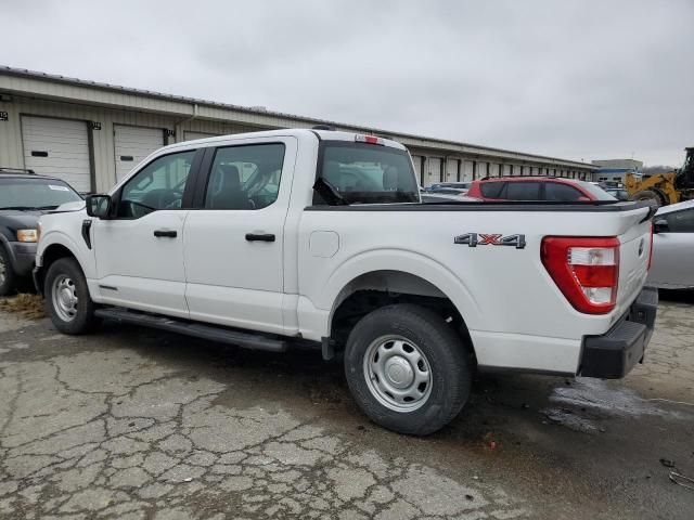 2021 Ford F150 Supercrew