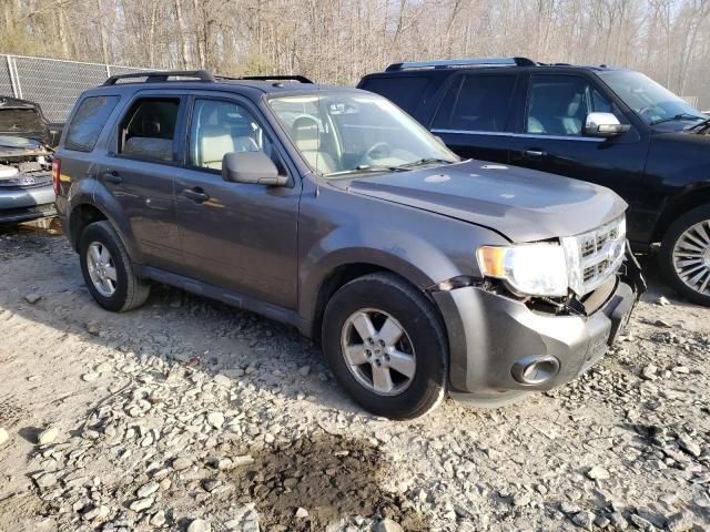 2009 Ford Escape XLT