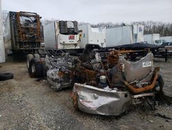 Vehiculos salvage en venta de Copart Glassboro, NJ: 2019 Freightliner Cascadia 126