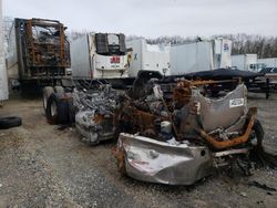 Salvage trucks for sale at Glassboro, NJ auction: 2019 Freightliner Cascadia 126