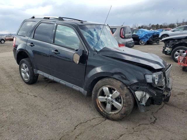 2011 Ford Escape Limited