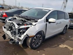 Salvage cars for sale from Copart Elgin, IL: 2023 Honda Odyssey EXL