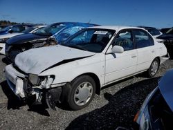 Toyota Corolla DX salvage cars for sale: 1997 Toyota Corolla DX