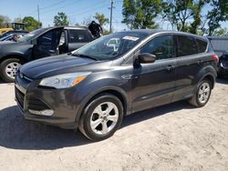 Salvage cars for sale at Riverview, FL auction: 2016 Ford Escape SE