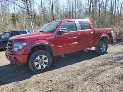 Salvage cars for sale from Copart Bowmanville, ON: 2014 Ford F150 Supercrew